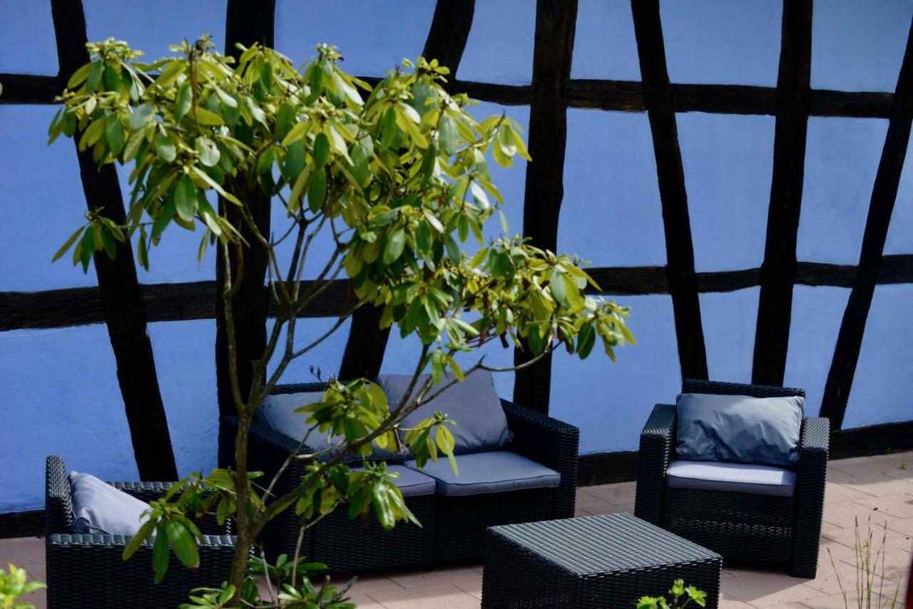 Le Clos Bleu - Gite Rural Schillersdorf Dış mekan fotoğraf